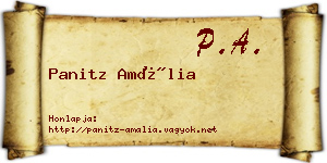 Panitz Amália névjegykártya